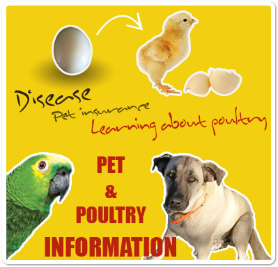 Pet and Poultry Information