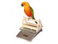 Product 8